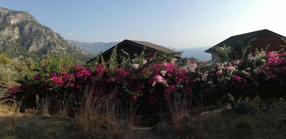 פאראליה Kabak Armes Hotel מראה חיצוני תמונה